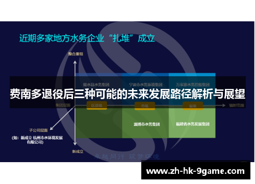 费南多退役后三种可能的未来发展路径解析与展望