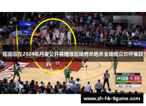 陈雨菲在2024年丹麦公开赛精准后场劈杀绝杀全场观众欢呼雀跃