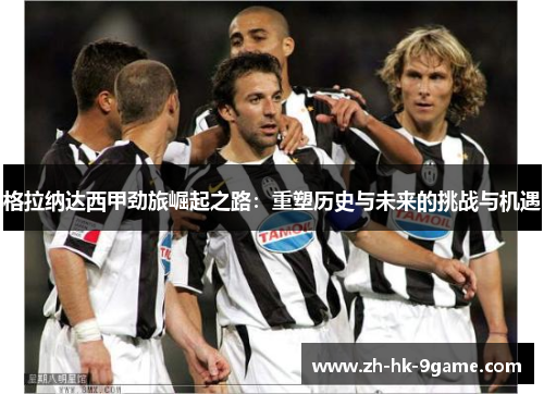 格拉纳达西甲劲旅崛起之路:重塑历史与未来的挑战与机遇 格拉纳达西甲劲旅崛起之路:重塑历史与未来的挑战与机遇